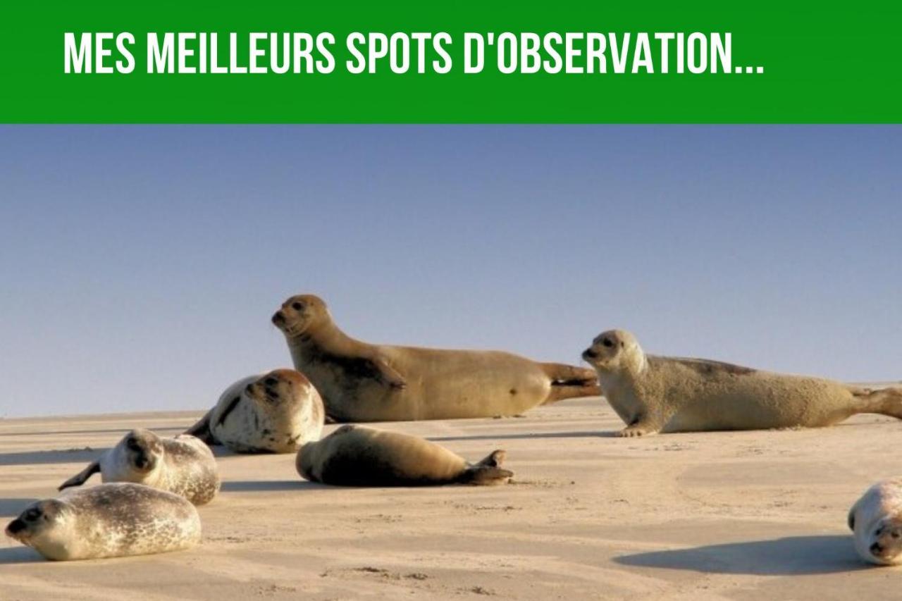 Les Couleurs Du Littoral Apartman Boulogne-sur-Mer Kültér fotó